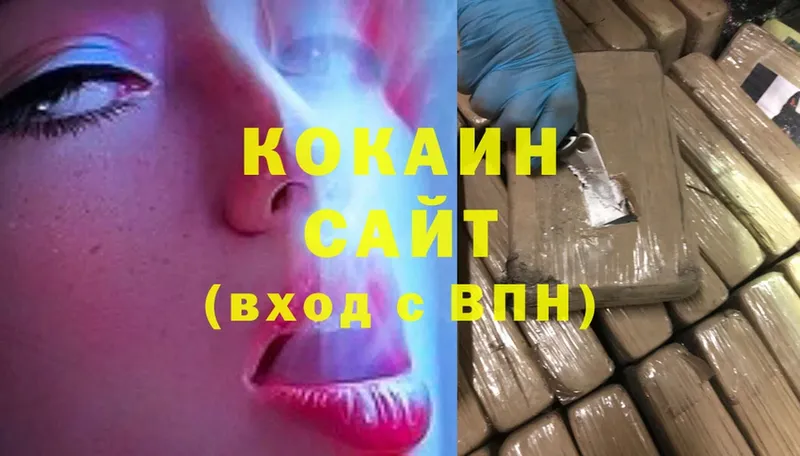 Cocaine FishScale  где купить наркоту  Заводоуковск 