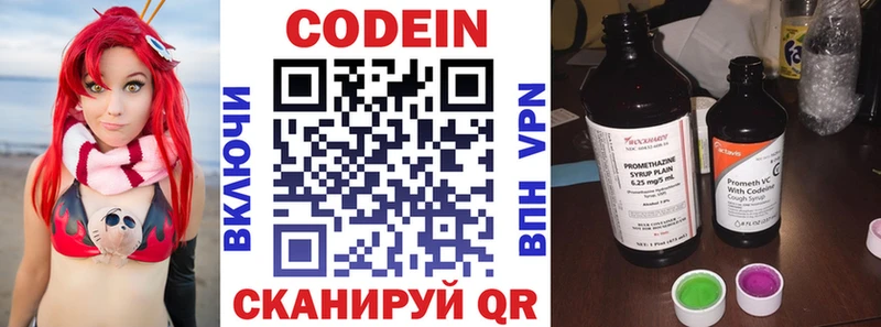 где можно купить наркотик  Заводоуковск  Кодеиновый сироп Lean напиток Lean (лин) 