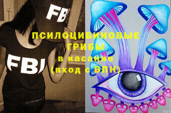трава Нязепетровск