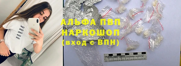 шишки Белокуриха