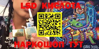 крисы Гагарин