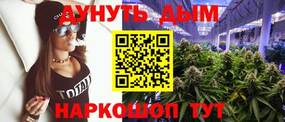 тгк Гай