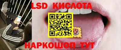 крисы Гагарин