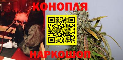 крисы Гагарин