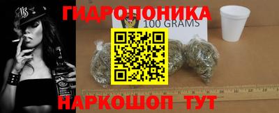 прущие грибы Гатчина