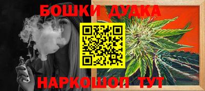 тгк Гай