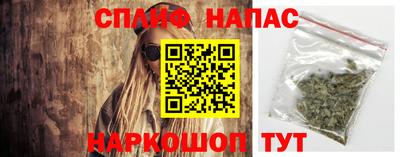 прущие грибы Гатчина