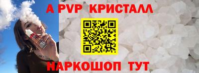 крисы Гагарин