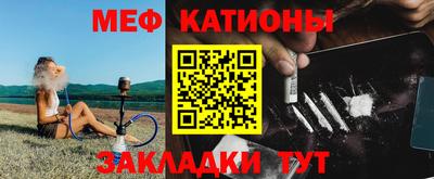 прущие грибы Гатчина