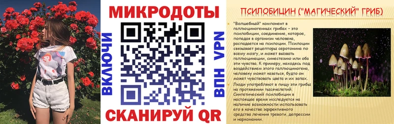 Псилоцибиновые грибы Magic Shrooms  Заводоуковск 