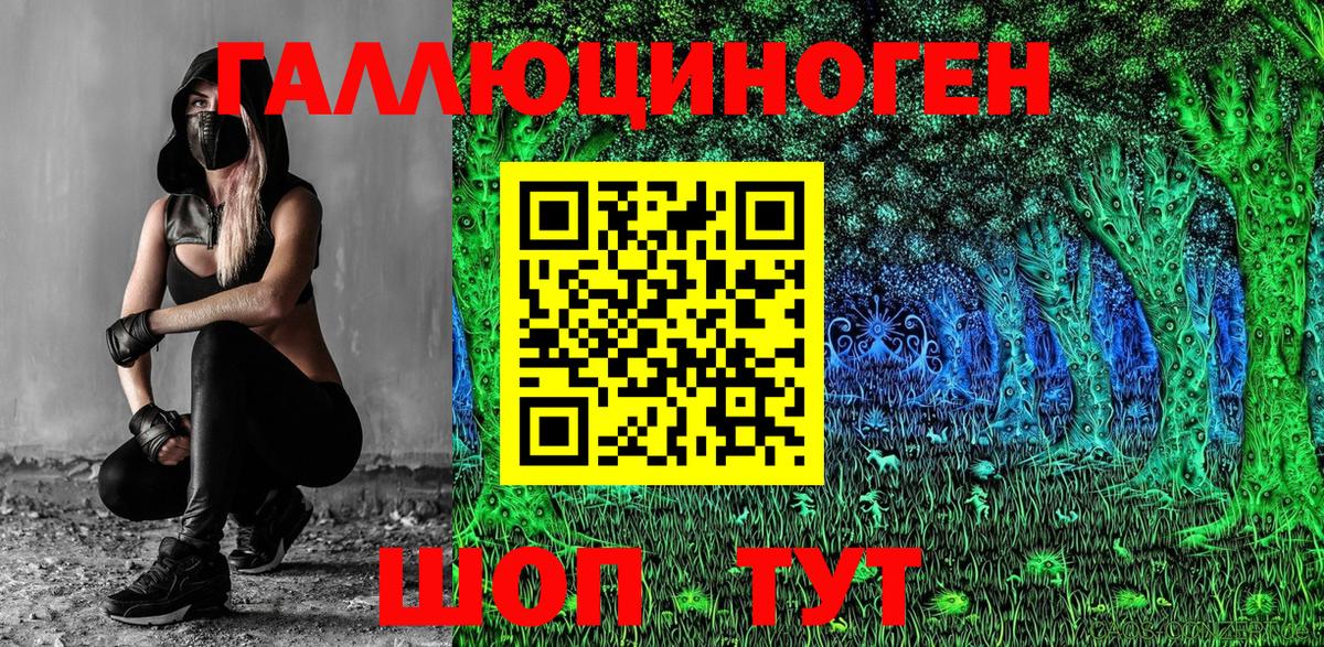 Заводоуковск  Псилоцибиновые грибы GOLDEN TEACHER  Вход с VPN 