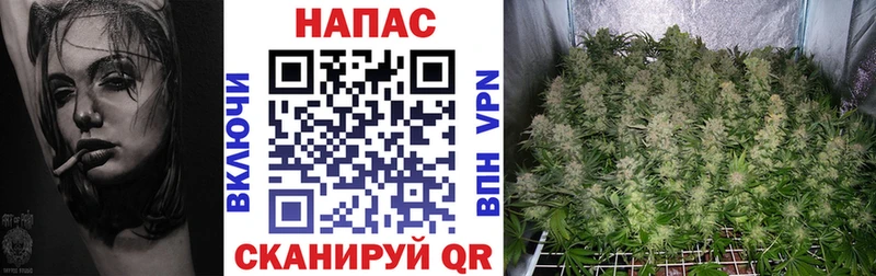 kraken как зайти  закладка  площадка клад  Бошки Шишки White Widow  Заводоуковск 